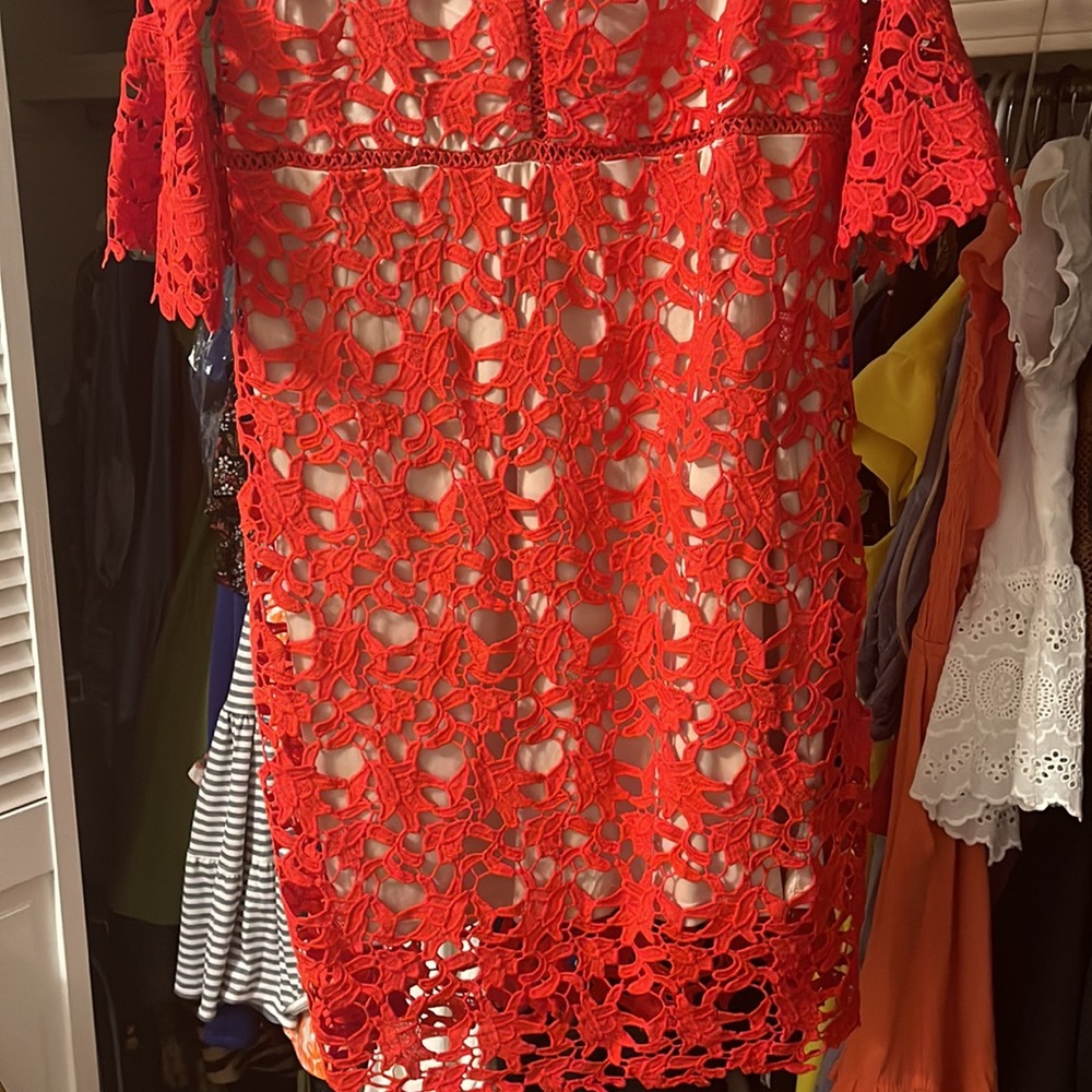Red Lace Dress - Picture 3 of 4